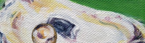 Painting of Oyster