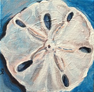 Sand Dollar